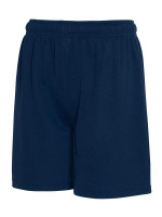 Navy (PMS 5395C)