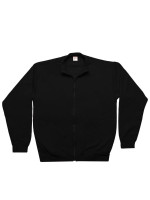 Schwarz (Black)