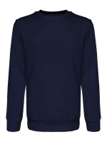 Navy (PMS 5395C)