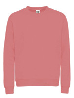 Dusty Pink (PMS 500C)