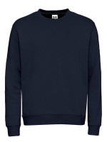Navy (PMS 5395C)