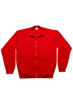Rot (PMS 186c)