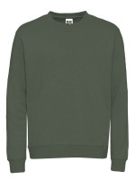 Earthy Green (19-0312 TCX)