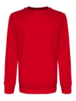 Rot (PMS 186c)
