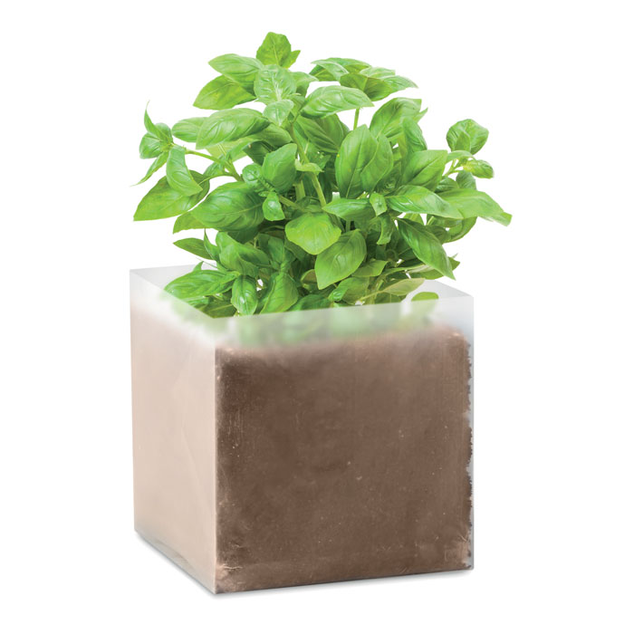 BASIL - Pflanz-Set "Basilikum"