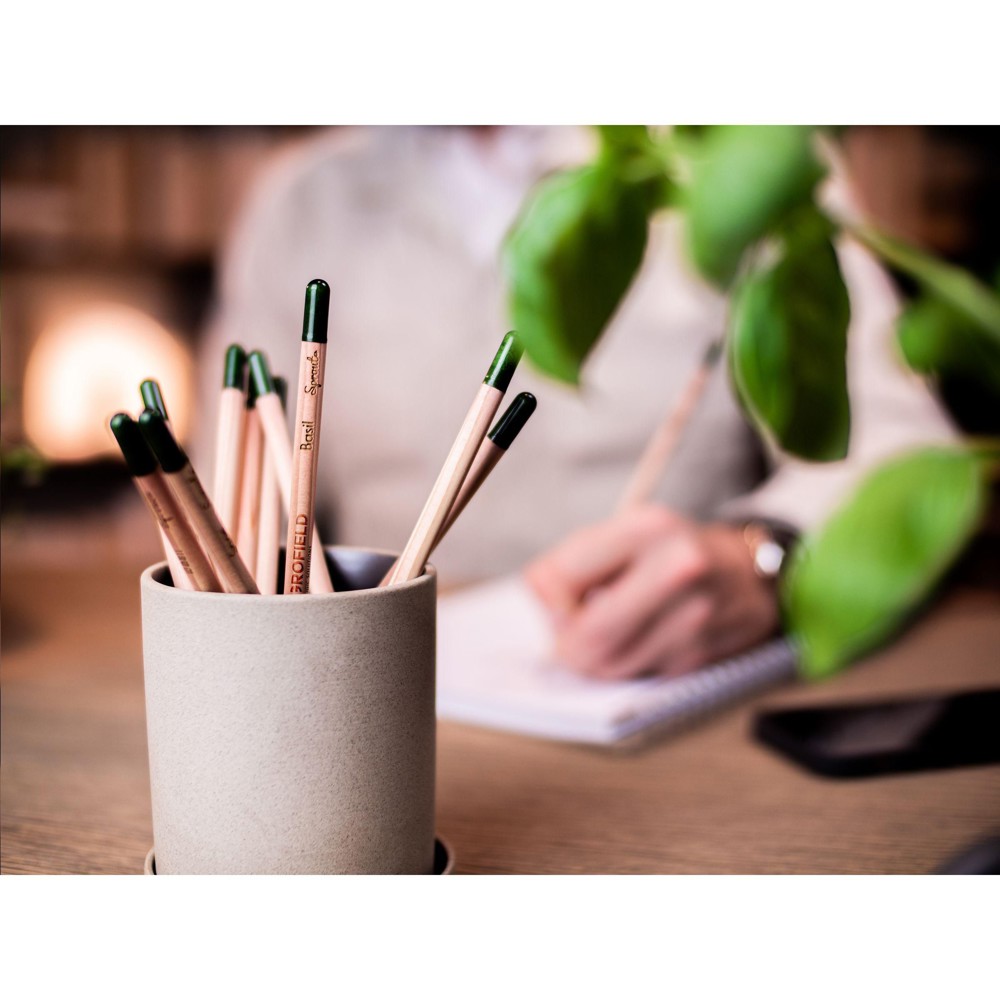 Sproutworld Unsharpened Pencil Bleisstift ungespitzt