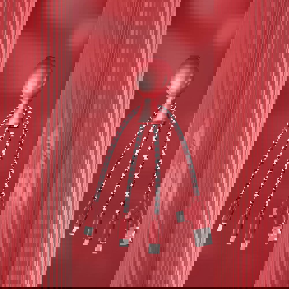 2081 | Xoopar Mr. Bio Charging cable