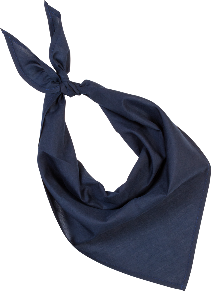 KP064 - Fiesta - Bandana - Navy