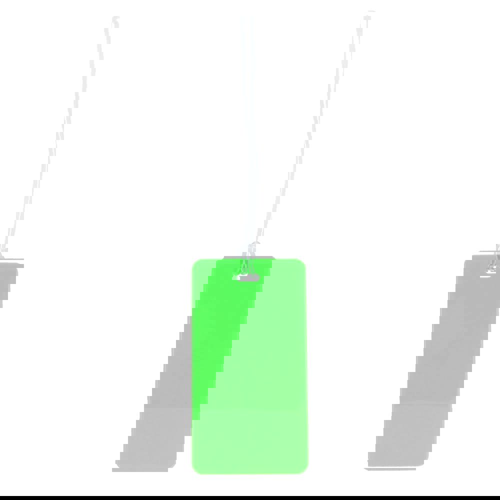 Kofferanhänger - Hellgrün