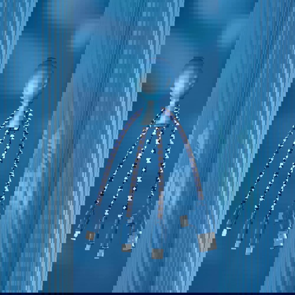 2081 | Xoopar Mr. Bio Charging cable