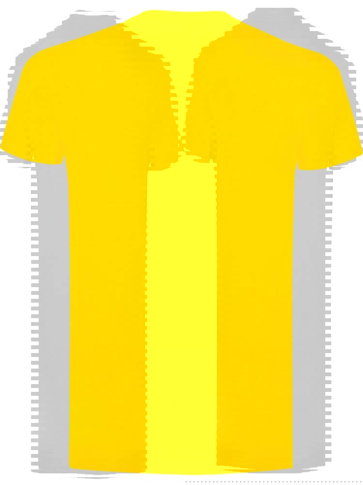 BS Evolution T-Shirt, 150 gr/m²