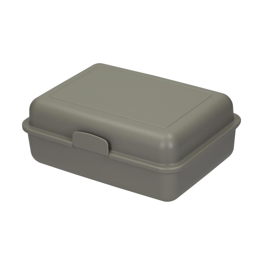 Bio-Vorratsdose "School-Box" groß - haselnuss