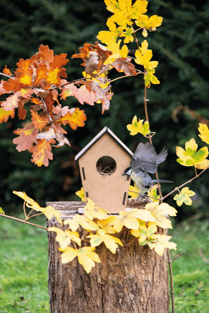 ECO HOME - Vogelhaus