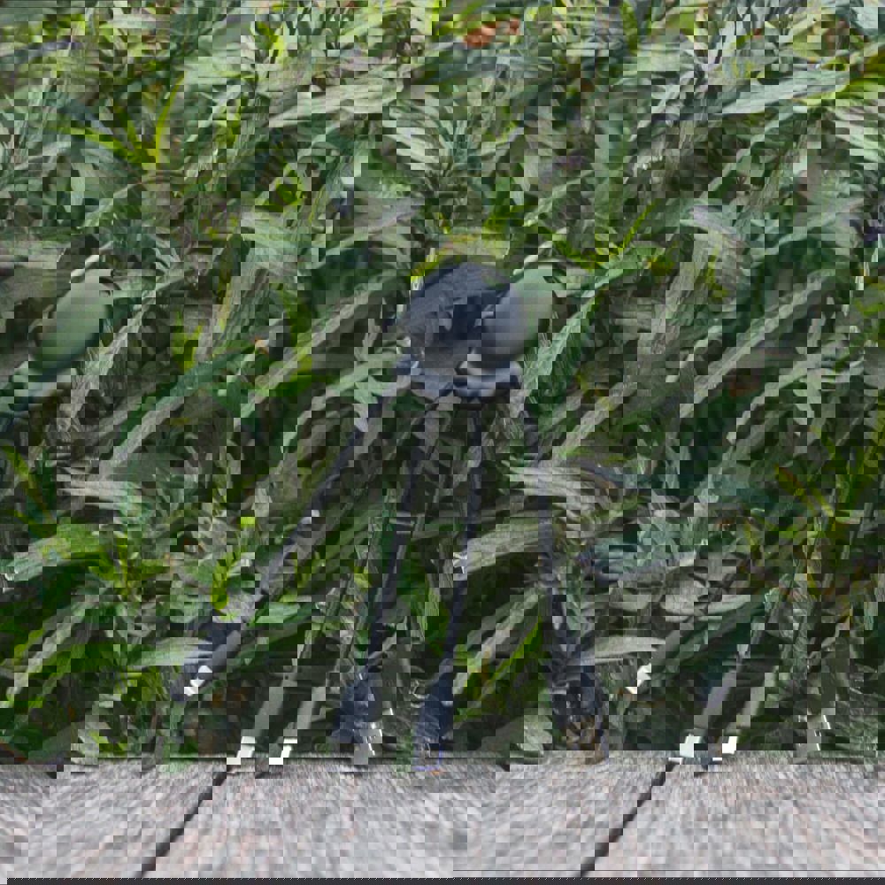 2087 | Xoopar Octopus Charging cable