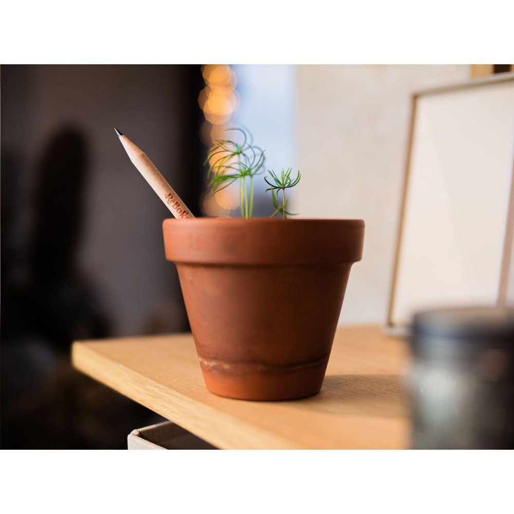 Sproutworld Unsharpened Pencil Bleisstift ungespitzt